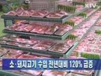 수입고기직매장장 | 소·돼지고기 수입 전년대비 120% 급증