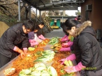 배추 포기마다 정성 한아름