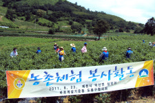 (주)덕산테코피아 천안사업장 - 10239 | 서울 도봉구 주민들 덕산면에서 일손돕기