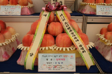 헬로앨리스마켓24역촌연서로점 - 은평구 연서로3길 29 | 연서면 국촌리 손일래씨