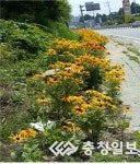 가로화단 4공구 | 도심속 가로변 '아름다운 꽃길' 조성