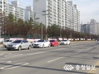 지북이문구 | 주말 도심 불법 현수막 천지