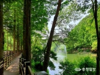 충북 미동산 수목원 휴양림 조성 추진