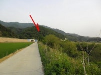 가수원동11691층상가 | 이 경매물건 어때요?