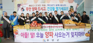 무안농협망운지소 | 무안군, 설 맞이 ‘양파소비촉진’ 적극