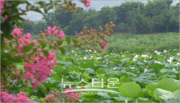 세 마리 토끼를 잡을 수 있을까?