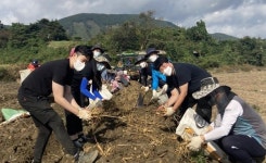 농협홍삼(장현점) | 농협홍삼 한삼인, 농촌 일손돕기 봉사로 ESG경영 실천