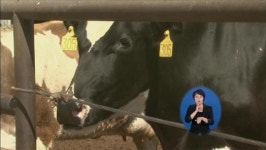 광우씨엠아이엠오 | 렌더링 시설 2곳 방문…광우병 감시 시스템 점검