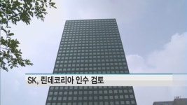 SK그룹, 린데코리아 인수 참여 검토