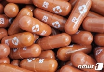 씨앤위드리츠주 | '위드코로나' 앞두고 코로나19 재택치료 본격화…먹는 치료제 도입 초읽기
