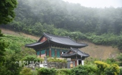 봉황천종삼강북 | 봉황이 앉았던 터, 서방정토를 꿈꾸다