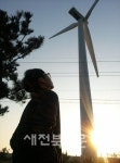 영월곰봉풍력 | 멈춰선 풍력, 투자금 날리고 줄도산 위기