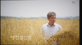 건강 기능성 가치 높은 '귀리' 농촌 경제 기여 톡톡