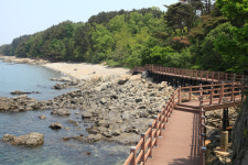 그 섬에 가고 싶다…제부도·국화도·입파도·풍도·육도