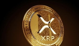 업홀드, XRP 스테이킹 도입 검토