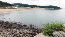 물만난 바캉스, 물좋은 해변서 신나는 더위탈출