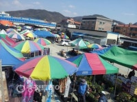 '전통시장 활성화' 팔걷고 나섰다