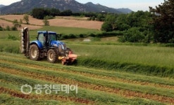 홍성한우 홍동점(정육코너) | 촉촉한 풀 먹는 홍성한우 육질도 촉촉해요