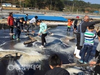태안, 빛과 소금을 찾아라