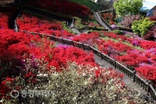 รูปภาพผลการค้นหา Naver 6