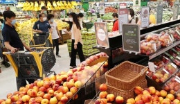 과일밥상상하점 | 장맛비 계속 내리자… 채소 과일 신선식품 밥상물가 쑥 올랐다