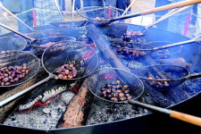 사유지국립공주대학교대동제 | 공주엔 축제가 너무도 많아~ 즐거움 멈출 틈 없네~