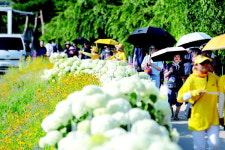 사유지국립공주대학교대동제 | 공주엔 축제가 너무도 많아~ 즐거움 멈출 틈 없네~