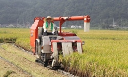 "도청 신도시 건설… 새 경북중심도시로 거듭날 것"