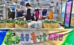 `울릉산나물` 대구 직거래장터 성황리 끝나