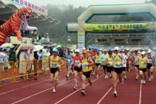 전국 1천200여 건각들 `봉화송이 마라톤` 질주