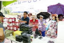 남도베리협동조합 | `베리의 고장` 상주 이름값 톡톡