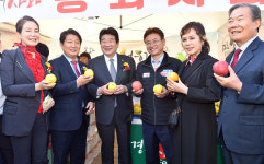 고품격 경북사과, 서울 시민들에 인기폭발