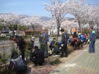 양산시 웅상출장소, 식목행사 개최