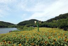 사계절 꽃향기 가득한 울산 선암호수공원