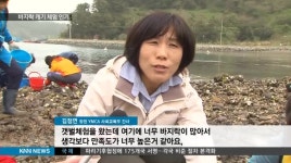 바지락 캐기 체험 인기