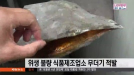 로노 식품영업소 | 위생 불량 식품업체 무더기 적발