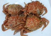 최원준의 음식 사람 거제 씸벙게(왕밤송이게)
