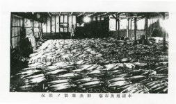 호남종신물산 | 전남 각지 농수산물 수출입 … 호남 제 1 상업도시 우뚝