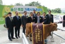 시장농산계량소 | 울산축협가축시장, 경매시작