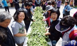 자연과산나물강원도 | 자연의 선물 '하장 두타산 산나물 축제' 오는 24일 개막
