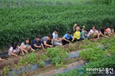 구암1동 석보아파트 | 영양군 석보초,감자 캐기 체험학습 실시