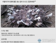 좋은효소불로방 | 우리몸에 좋은 효소 많이 드세요~