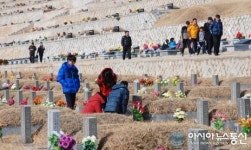 천자봉공원묘원재 | 진해 천자봉공원묘원 성묘객들로 설날 실감