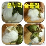 내덕솜틀집 | 40년 전통 솜이불 리폼 전문 온누리 솜틀집, 솜이불의 화려한 변신 눈길