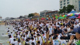장사항 오징어 맨손잡기 축제 개막