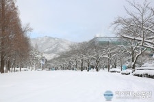 승달산구멍가게 | 눈덮인 승달산에 둘러싸인 목포대 교정