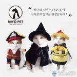 다소다마켓(DASODAMARKET) | 반려동물 종합쇼핑몰 ‘miyopet’, 펫케어페스티벌 ‘냥펀치강펀치마켓’ 참가