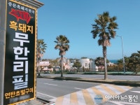 후기