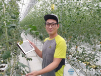 강명기토마토농장 | 귀농3년차 함형국 대표, 토마토 농장서 부농 꿈 영글어