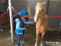 경기도, 말산업 진로체험 진화..1020명 대상
